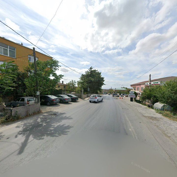 Fotoğraf 8