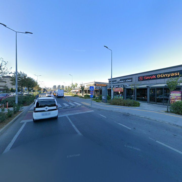 Fotoğraf 8