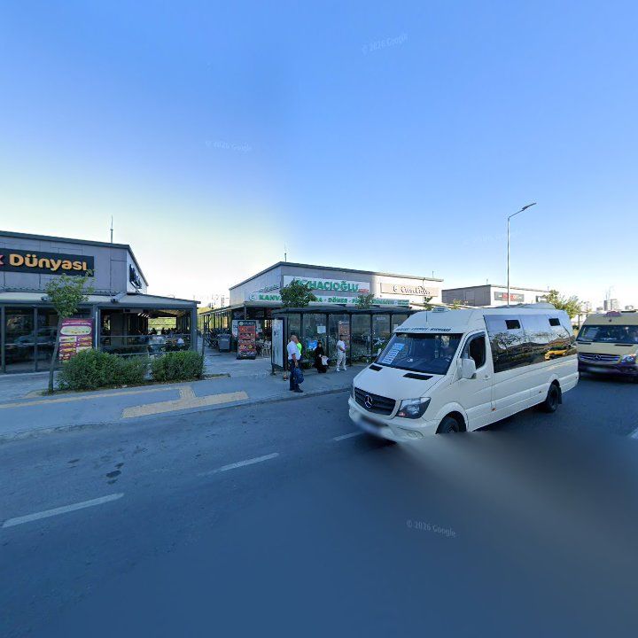 Fotoğraf 9