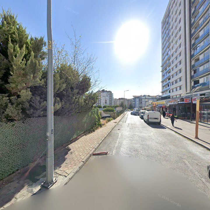 Fotoğraf 10
