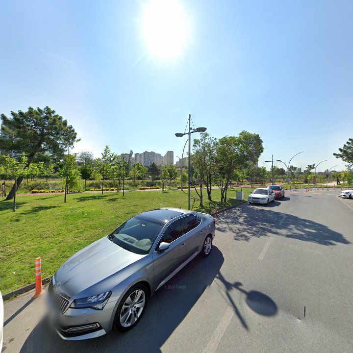 Fotoğraf 10