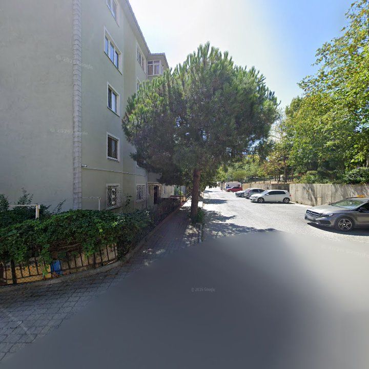 Fotoğraf 11