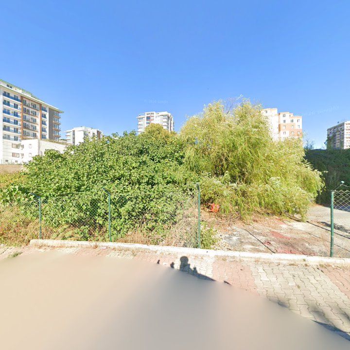 Fotoğraf 10