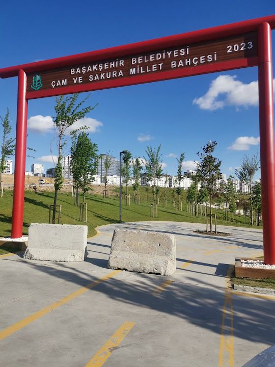 Çam Ve Sakura Millet Bahçesi