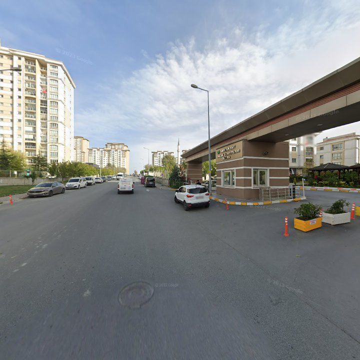 Fotoğraf 11