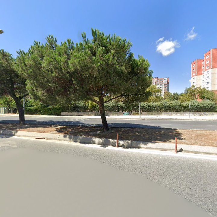Fotoğraf 12