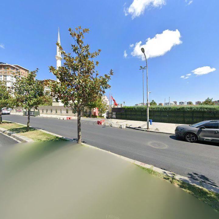 Fotoğraf 7