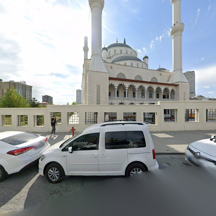 Fotoğraf 11