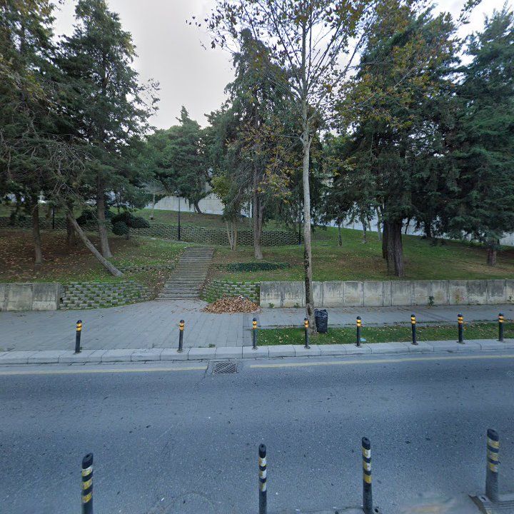 Fotoğraf 10