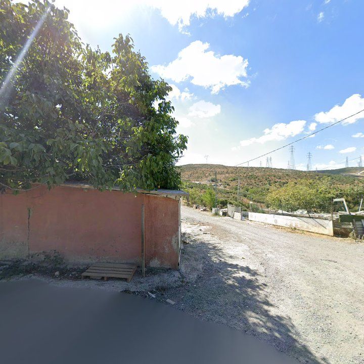 Fotoğraf 9
