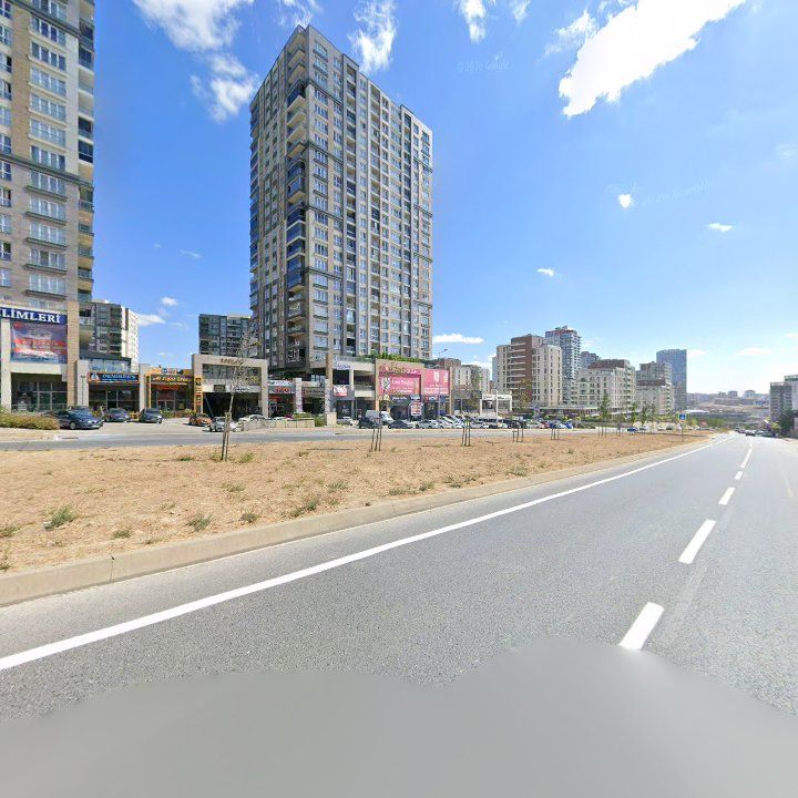 Fotoğraf 11