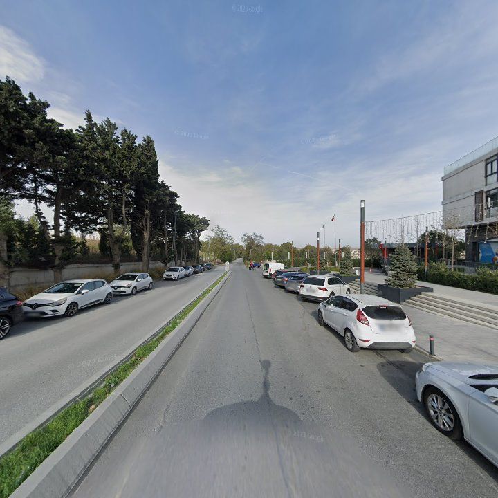 Fotoğraf 11