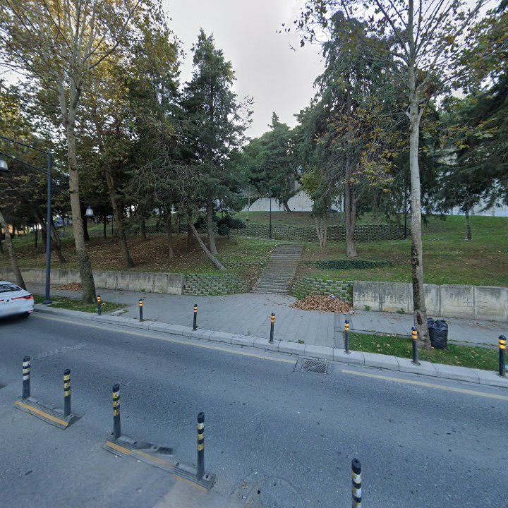 Fotoğraf 12
