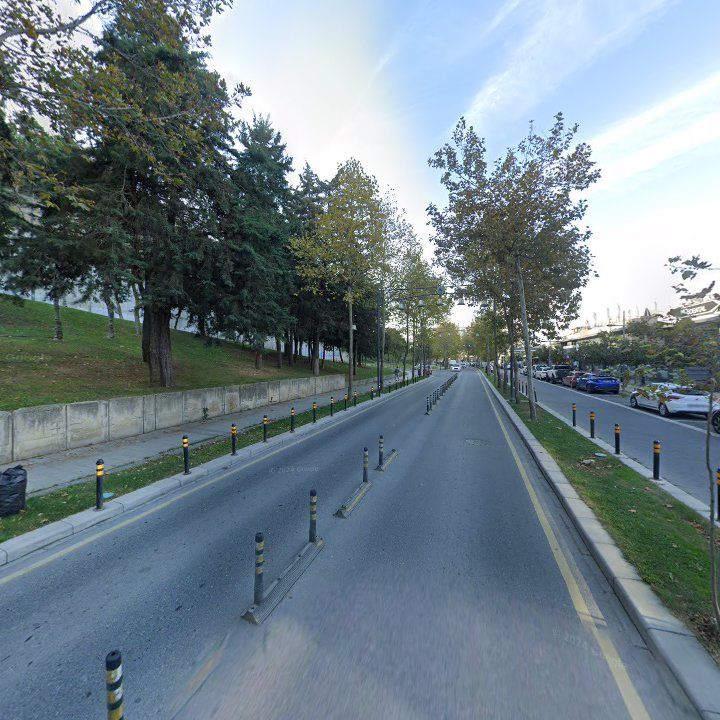 Fotoğraf 13