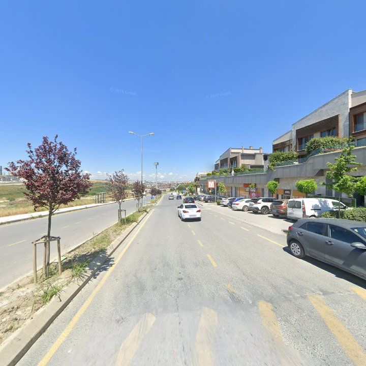 Fotoğraf 12