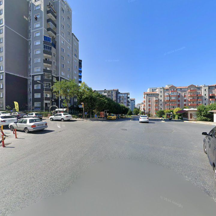 Fotoğraf 11