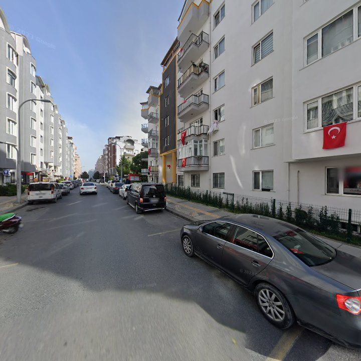 Fotoğraf 10