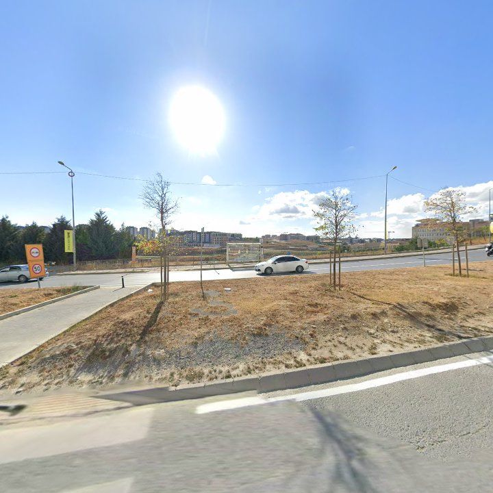 Fotoğraf 9
