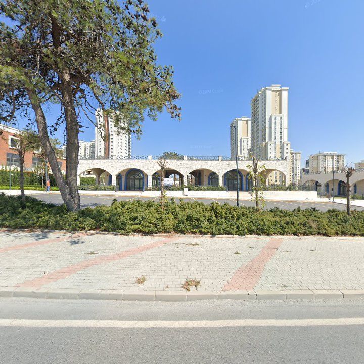 Fotoğraf 11