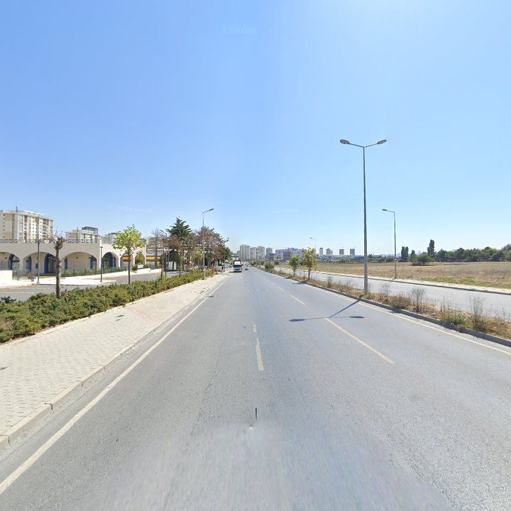 Fotoğraf 12