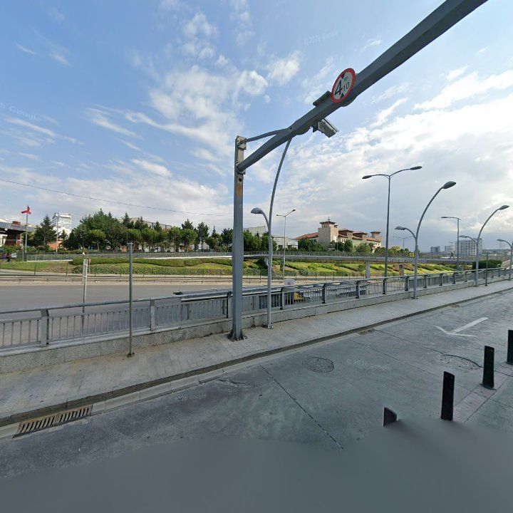 Fotoğraf 14