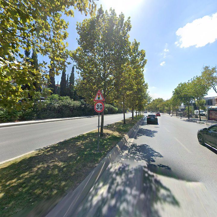 Fotoğraf 11