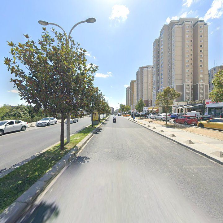 Fotoğraf 10