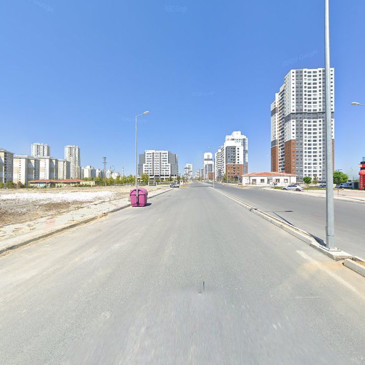 Fotoğraf 12