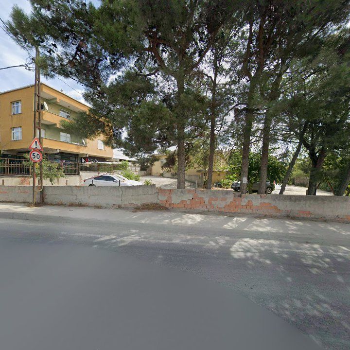 Fotoğraf 8