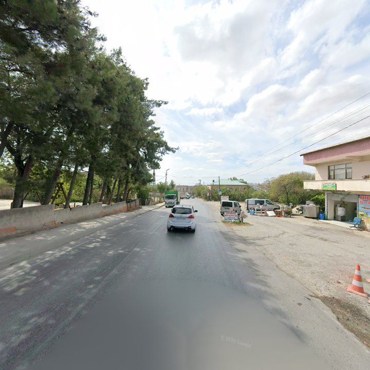 Fotoğraf 9