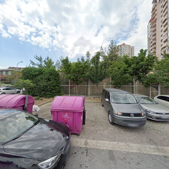 Fotoğraf 10