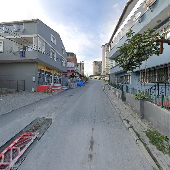 Fotoğraf 10