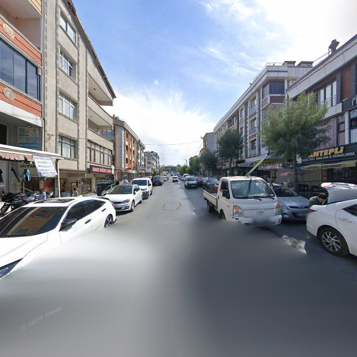 Fotoğraf 9