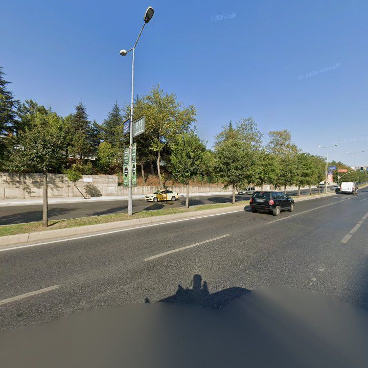 Fotoğraf 15