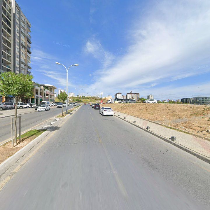 Fotoğraf 9