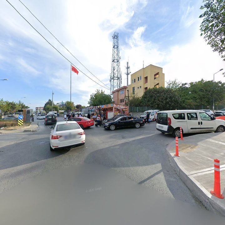 Fotoğraf 12