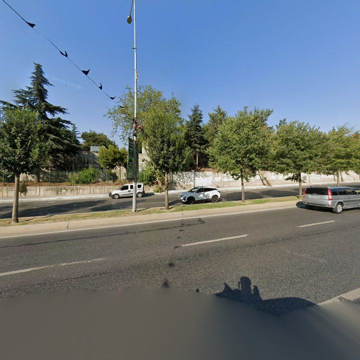 Fotoğraf 11