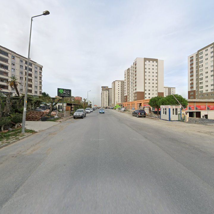 Fotoğraf 12