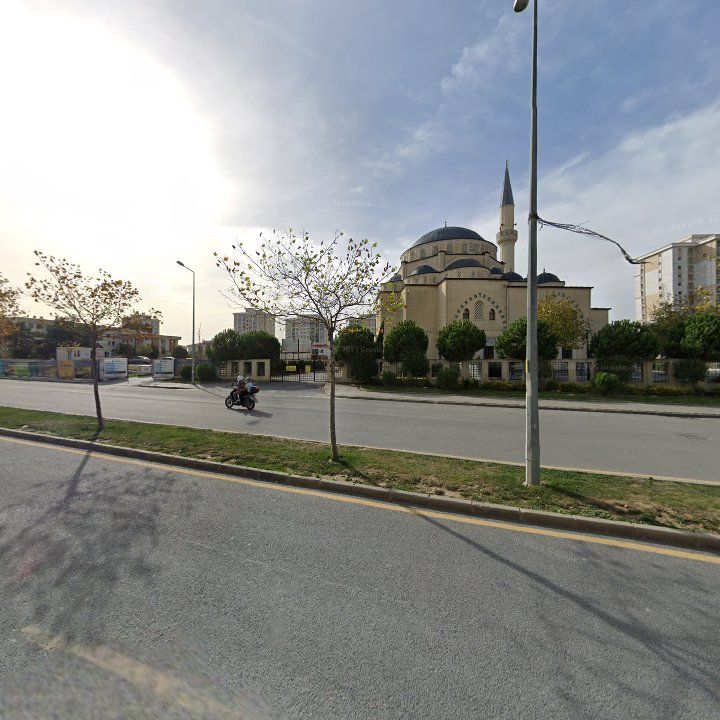 Fotoğraf 5