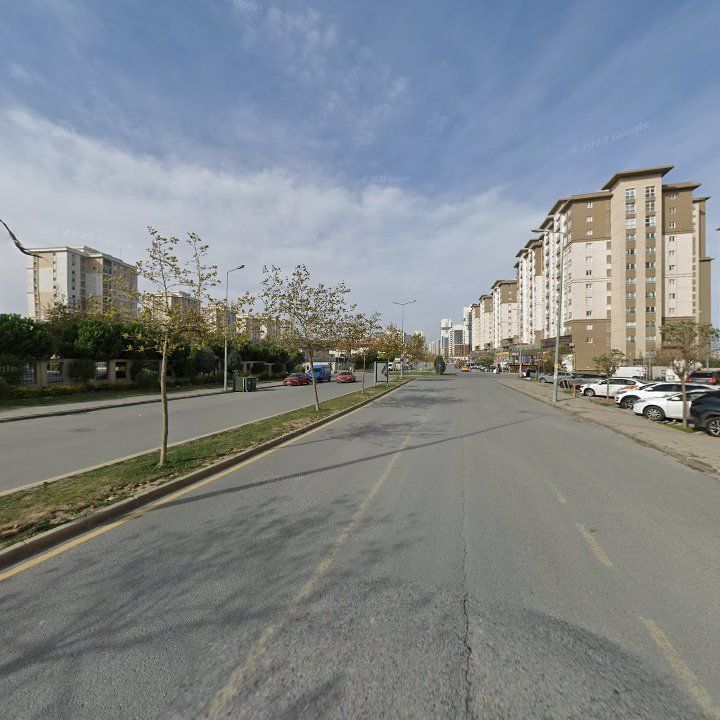 Fotoğraf 6