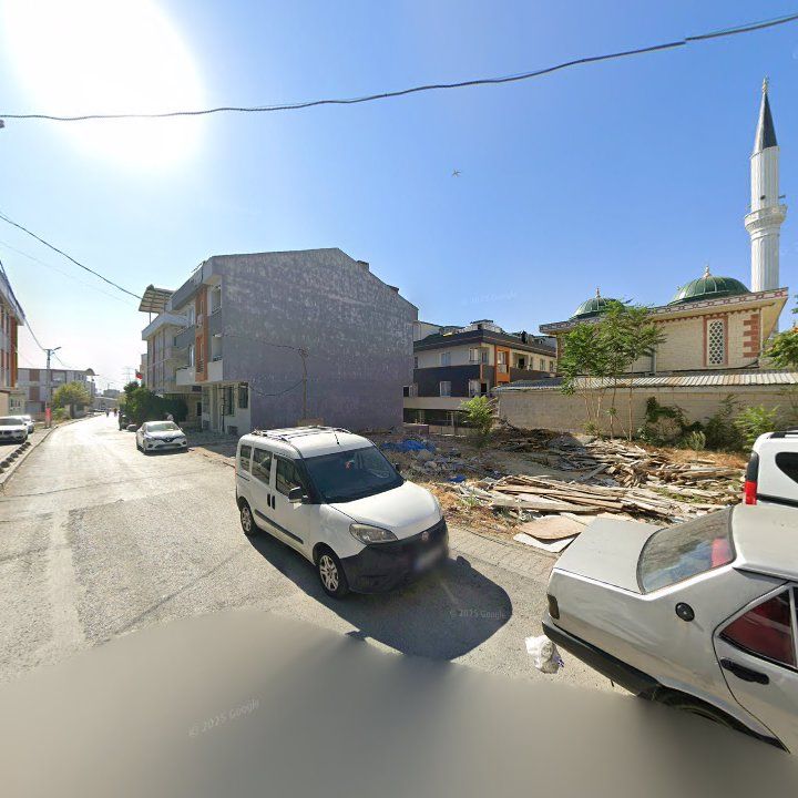 Fotoğraf 6