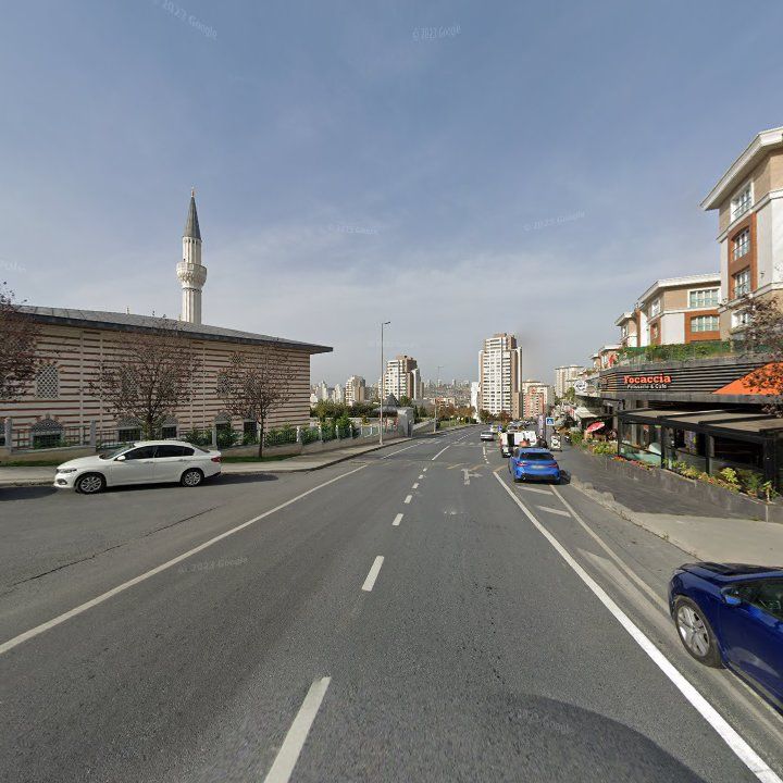 Fotoğraf 8