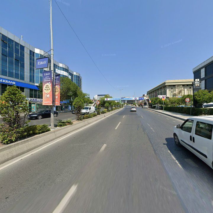 Fotoğraf 11