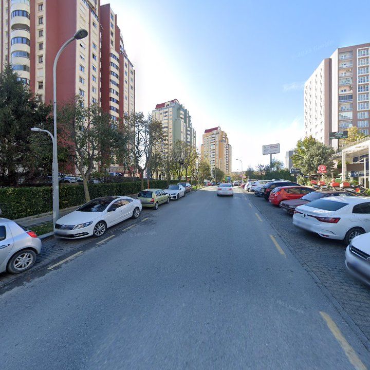 Fotoğraf 11