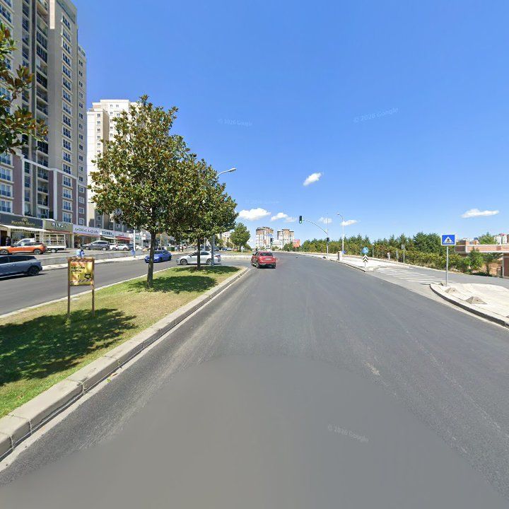 Fotoğraf 9