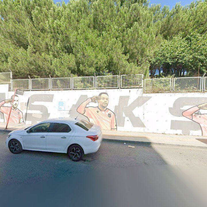 Fotoğraf 11