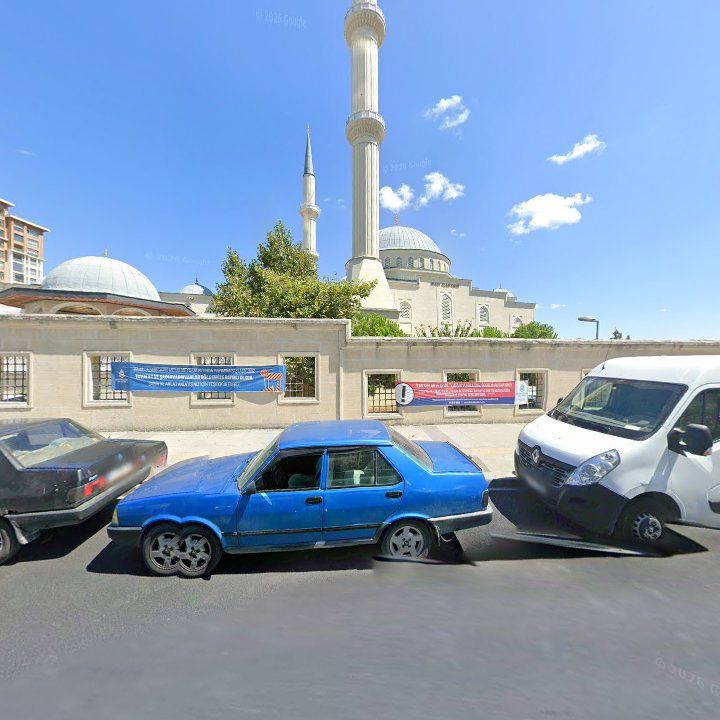 Fotoğraf 9