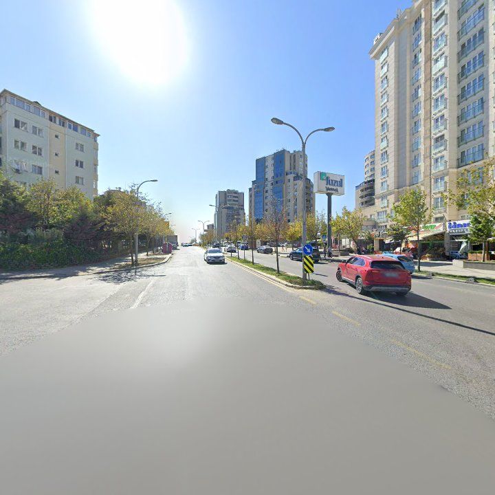 Fotoğraf 12