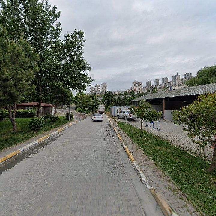 Fotoğraf 10