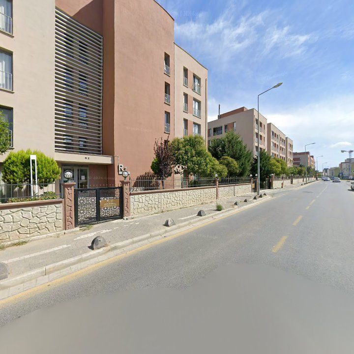 Fotoğraf 11